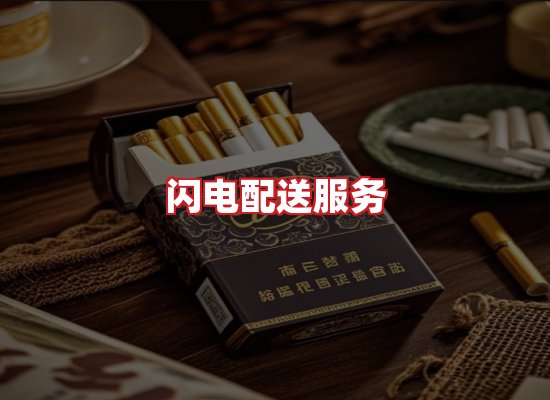 专业团队